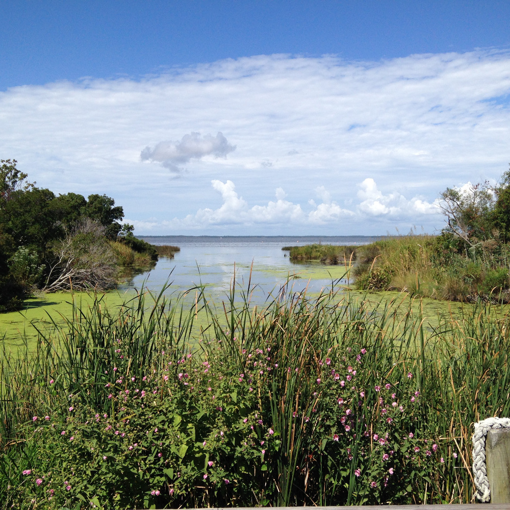 Meet your Posher, Melanie